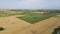 Aerial view of landscape sunflower field village of Boshulya, Bulgaria