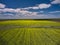 Aerial View of landscape with yellow rapeseed agricultural fields, springtime