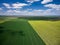 Aerial View of landscape with yellow rapeseed agricultural fields, springtime