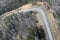 Aerial view of larch and conifer forest in spring.