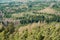 Aerial view of large forest landscape, pine deciduous trees