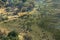 Aerial view of a large herd of African Cape Buffalo