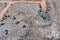 Aerial view of large landfill. Waste Garbage dump
