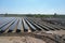 Aerial view of a large-scale solar farm with an array of black solar panels arranged in neat rows