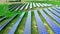 Aerial view of large solar farm on field, Poland