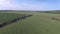 Aerial view with large wheat field and other agricultural crops in spring.