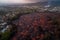 aerial view of lava flows with city in the background, resembling a twisted and burning maze