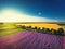 Aerial view of lavender field in Provence