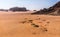 Aerial view of the Lawrence spring in the Jordanian desert near Wadi Rum