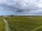 Aerial view on left bank of Gironde Estuary with green vineyards with red Cabernet Sauvignon grape variety of famous Haut-Medoc