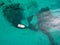 Aerial view of a leisure boat mooring in translucent turquoise