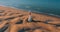 Aerial view of Lighthouse el Far del Fangar on Delta de l\'ebre natural park, tarragona, Catalonia, Spain