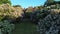 Aerial view of lilac flowers in the Botanical Garden named after Grishko, Kyiv.