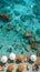 An aerial view of a lively poolside scene with people enjoying the clear turquoise water.