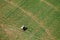 Aerial view of a long arm spreader spraying farm crops.