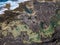 Aerial view of Los Charcones, Lanzarote. Spain. Water pool on a lava soil. Bathers. Swimming.