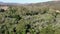 Aerial view of Los Penasquitos Canyon Preserve, San Diego