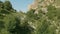 Aerial view of low flying mountain gorge between rocks above trees