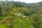 Aerial view of lush green irrigated paddy field plantations full of water on the hill in the jungle Terraced rice fields