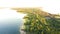 Aerial view lush green pine trees at Ticky Creek Park, northern end of Lake Lavon in Princeton, Texas, USA