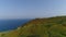 Aerial View Of The Lush Green Vegetation at coastline