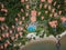 Aerial view of luxury resort next the ocean in Phu Quoc