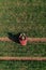 Aerial view of male farmer checking up on wheat crop seedling development on plantation field