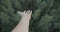 Aerial view of male hand being hold above the pine trees and woods nature in the green wilderness outdoors