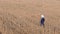 Aerial view of a man in a hat standing in a field of ripe wheat. Drone flying around. Modern technologies are used in