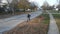 Aerial view of a man raking up fallen autumn leaves on a suburban street. American suburban neighborhood.Residential single family