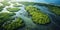 Aerial View Of Mangrove Forest Captures Carbon Sequestration