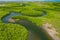 Aerial view of mangrove forest in Gambia. Photo made by drone from above. Africa Natural Landscape