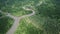 Aerial view on mangrove forest and river Thailand