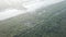 Aerial view mangrove trees forest in morning with mist.