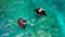 Aerial view of Manta rays swimming