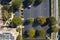 Aerial view of many colorful cars parked on parking lot on apartment building backyard. Place for vehicles in front of