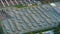 Aerial view of many school buses parked on county parking lot in USA. American education system transportation