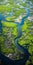 Aerial View Of Marshy River And Swamp: Precisionist Lines And Nature-inspired Forms