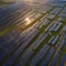 An aerial view of a massive solar farm, with rows of solar panels stretching to the horizon2