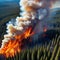 Aerial view of massive wildfire or forest fire with burning trees and orange