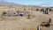 Aerial view of megalithic standing stones and burial mound of Zorats Karer or Carahunge - prehistoric monument in Armenia.