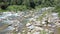 Aerial View Men Fish in Mountain River with Forestry Banks