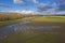 Aerial View of Migrating Trumpeter Swans in Skagit Valley, Washington.