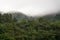 Aerial view of mist, cloud and fog hanging over a lush tropical rainforest after a storm. Treetops of mountain range with fog