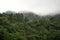 Aerial view of mist, cloud and fog hanging over a lush tropical rainforest after a storm. Treetops of mountain range with fog