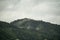 Aerial view of mist, cloud and fog hanging over a lush tropical rainforest after a storm. Treetops of mountain range with fog