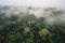 Aerial view of a misty rainforest in a foggy day. Generative AI