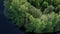 Aerial view of the mixed forest of firs, spruces, beeches and birches on the shore of a lake in the heath