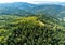 Aerial view of mixed pine woods and deciduous woods in the Carpathian mountains