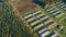 Aerial View Modern chicken farm, barns, Sheds. Bird's-eye View In Sunny Rural Landscape 4K